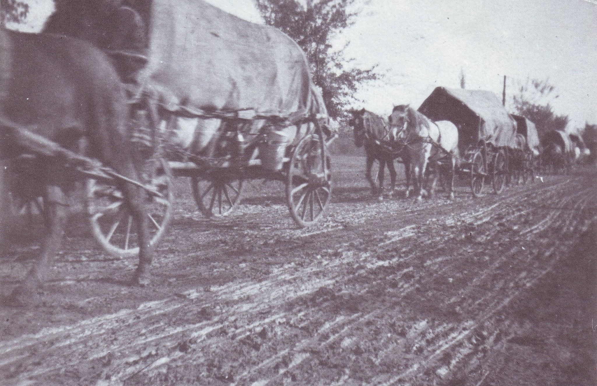 Zbjeg Nijemaca iz Ilače, Tovarnik, Srijem, listopad 1944. godine. Izvor: Florian Neller, Illatsch(a) (Ilacs, Ilaća). Der syrmische Wallfahrtsort. Das Leben der deutschen Ortsbewohner im Zeitraum von 120 Jahren 1864-1984, Graz, 1987. (http://o-ilaci.blogspot.com/2015/04/ilacka-kronologija-1940-1949.html)